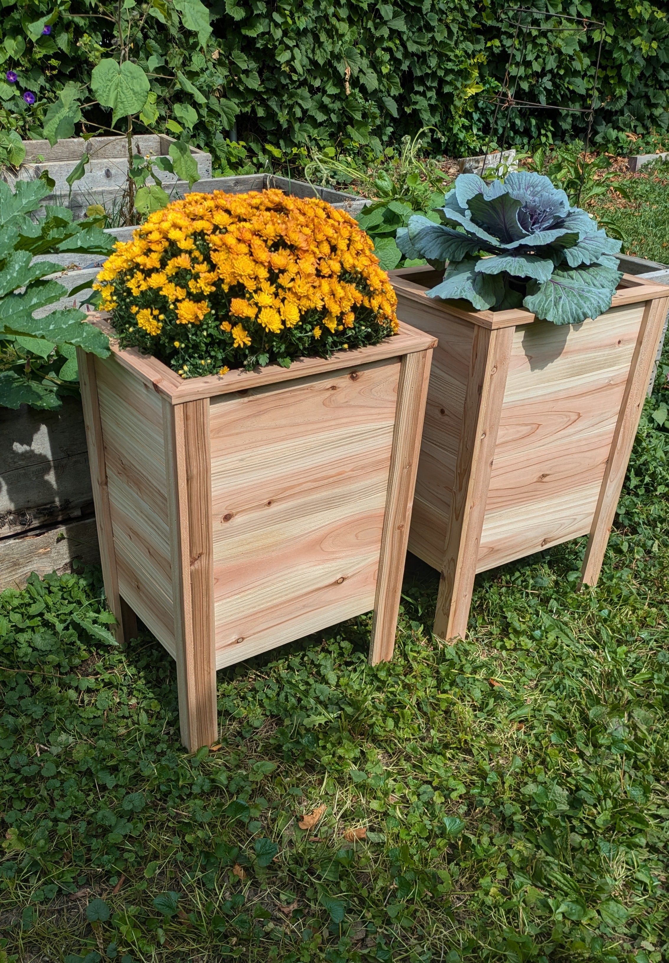 A pair of Planter Bs