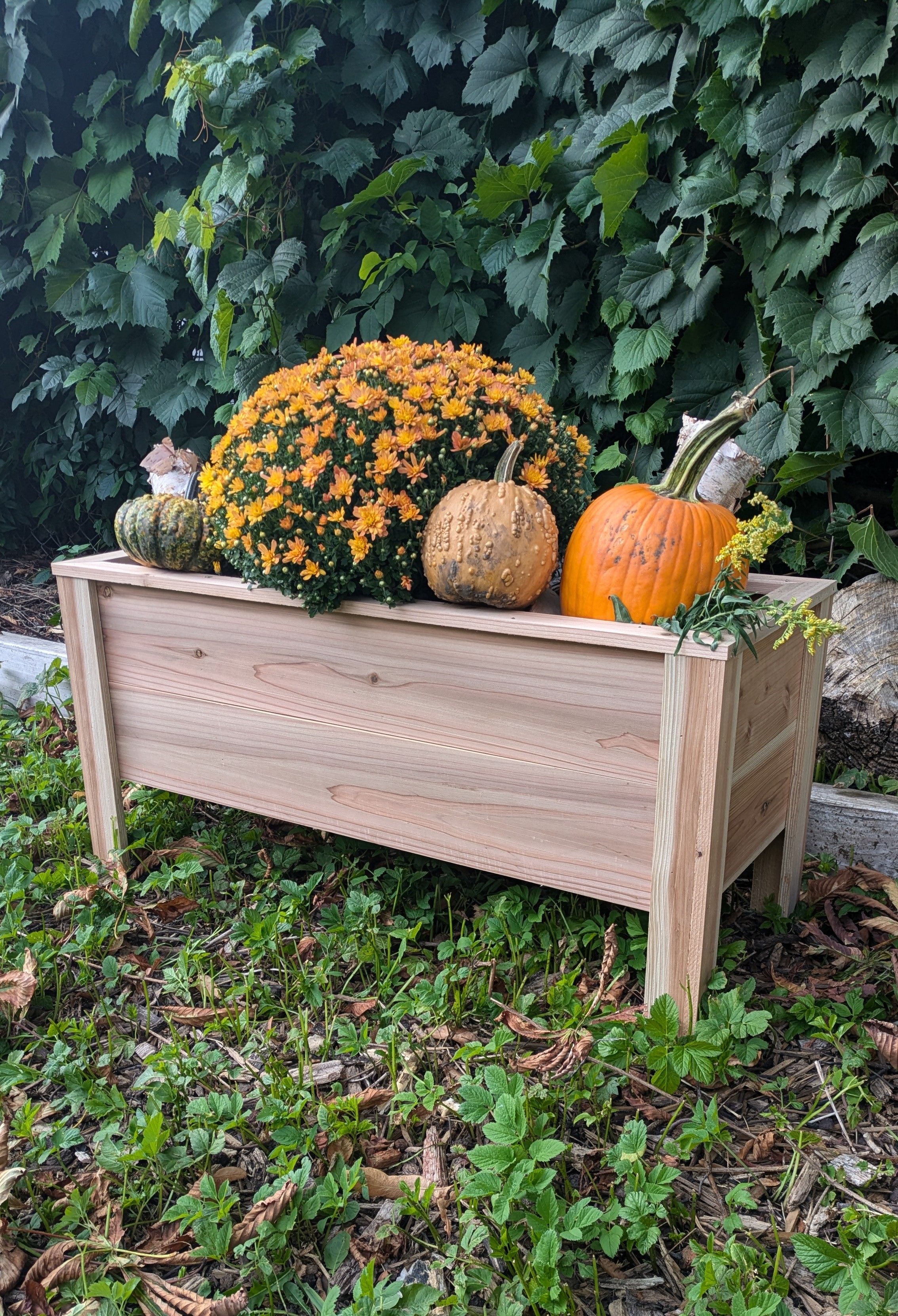 Planter C with a fall display